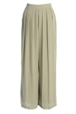 Sage Josette Wide-Leg Pleated Pants -Lady Clothing Store IMG 9864copy
