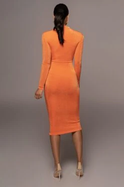 Orange Audette Turtleneck Dress -Lady Clothing Store PRODUCT APR152022 262