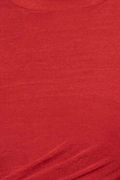 Red Kara Mock Neck Dress 11 Red Kara Mock Neck Dress -Lady Clothing Store PRODUCT JAN102022 327