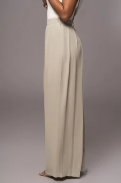 Sage Josette Wide-Leg Pleated Pants -Lady Clothing Store PRODUCT JUL132023 CHIFFON 16