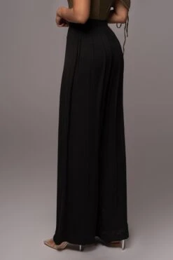 Black Josette Wide-Leg Pleated Pants -Lady Clothing Store PRODUCT JUL132023 CHIFFON 32