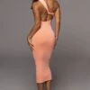 Peach Meara One Shoulder Dress -Lady Clothing Store PRODUCT JUL282022 BASIX 226