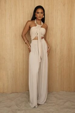 Beige After Sunset Pleated Pants -Lady Clothing Store PRODUCT JUL52023 CROCHET2 258 1e6443f4 2338 4447 b1da cab699efd93c