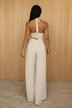 Beige After Sunset Pleated Pants -Lady Clothing Store PRODUCT JUL52023 CROCHET2 261 5b3fbc2c 6ee2 45e4 a753 010fb1de2e5a