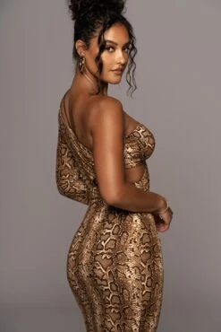 Snakeskin Rule Breaker Dress 36 Snakeskin Rule Breaker Dress -Lady Clothing Store PRODUCT MAY202022 MISSING 20