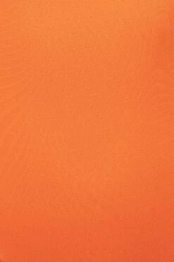 Jluxbasix Tangerine Bethie Scoop Long Sleeve Bodysuit -Lady Clothing Store PRODUCT SEPT192022 MISSING 47